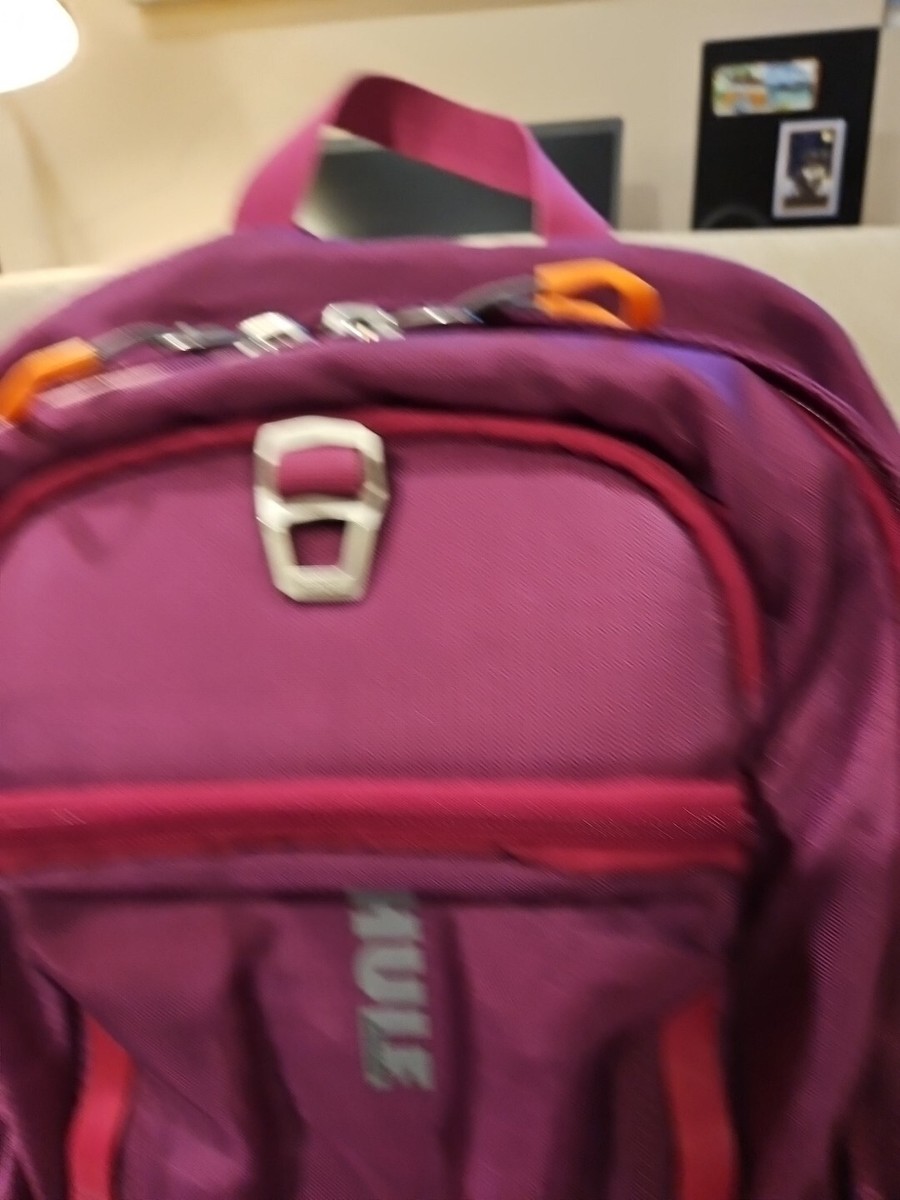 Thule Backpack Sweden Hike School Camp Bag Fish Raspberry red