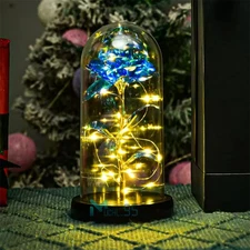 ON SALE!! Rose LED Light Glass Gifts for Wife Women Her Girlfriend Birthday Gift