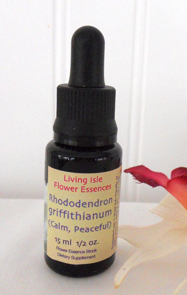 Living Isle Flower Essences RHODODENDRON GRIFFITHIANUM (Calm, Peace) 15 ml  1/2oz | eBay
