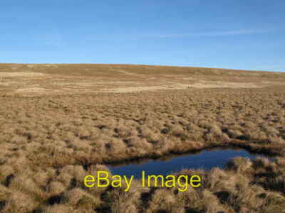 Foto 6x4 Feuchter Boden unter Windy Hill Lintzgarth um 2008