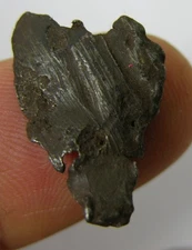 #16 Natural 7.35ct 100% Rock From Space Russian Sikhote Meteorite 1.45g 19.00mm