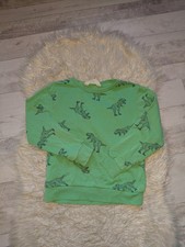 Sweatshirt Gr.134/140(H&M)