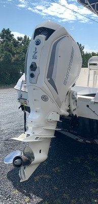 2019 175HP Evinrude E-TEC G2