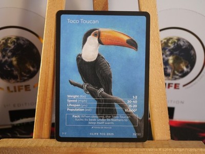 Life TCG Birds : Toco Toucan FA (39/130) pop 1000
