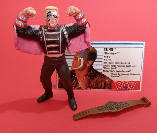 WCW Galoob STING  Wrestling Figure  WWF  WWE  Bio ...