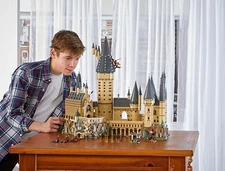 Harry Potter: Hogwarts Castle (71043)-Complete Bricks - New Sealed (bagged)
