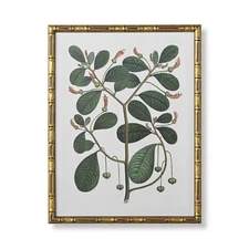 FRONTGATE Exclusive Bamboo Botanicals Giclée Print IV (Branches) 25"x20" NEW
