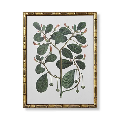 FRONTGATE Exclusive Bamboo Botanicals Giclée Print IV (Branches) 25"x20" NEW