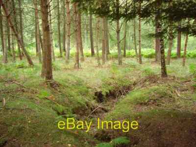 Photo 6x4 Ditch Ring Wood Birnam Another A9 roadside shot only this tim c2006