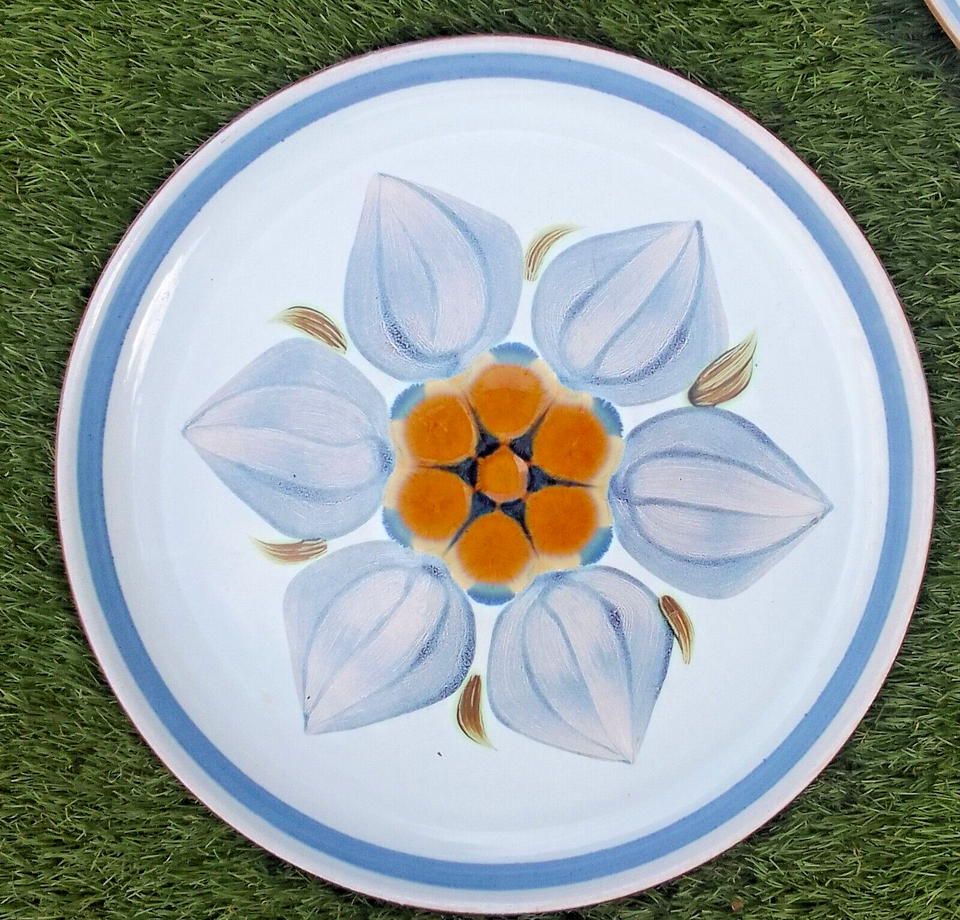 5 Denby CHATSWORTH 10 inch 25 cm dinner plates. Very good condition. eBay