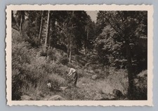 Landwassereck Elzach - Weg Hornberg - Altes Foto