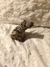 Small Collage Patchwork Hippo Safari Animal Ceramic Ornament Home Decor