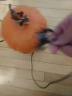 Jack O Lantern Light Up Orange Halloween Pumpkin Decoration Blow Mold  — photo 9