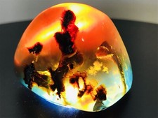 Żółty zielony jasnoniebieski bursztyn ze skamieniałościami rośliny bursztyn bermudy karaiby