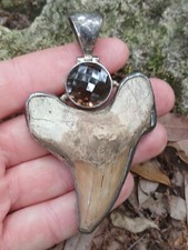 HUGE 925 Sterling Silver Megalodon Great White Shark Tooth Teeth Fossil Necklace