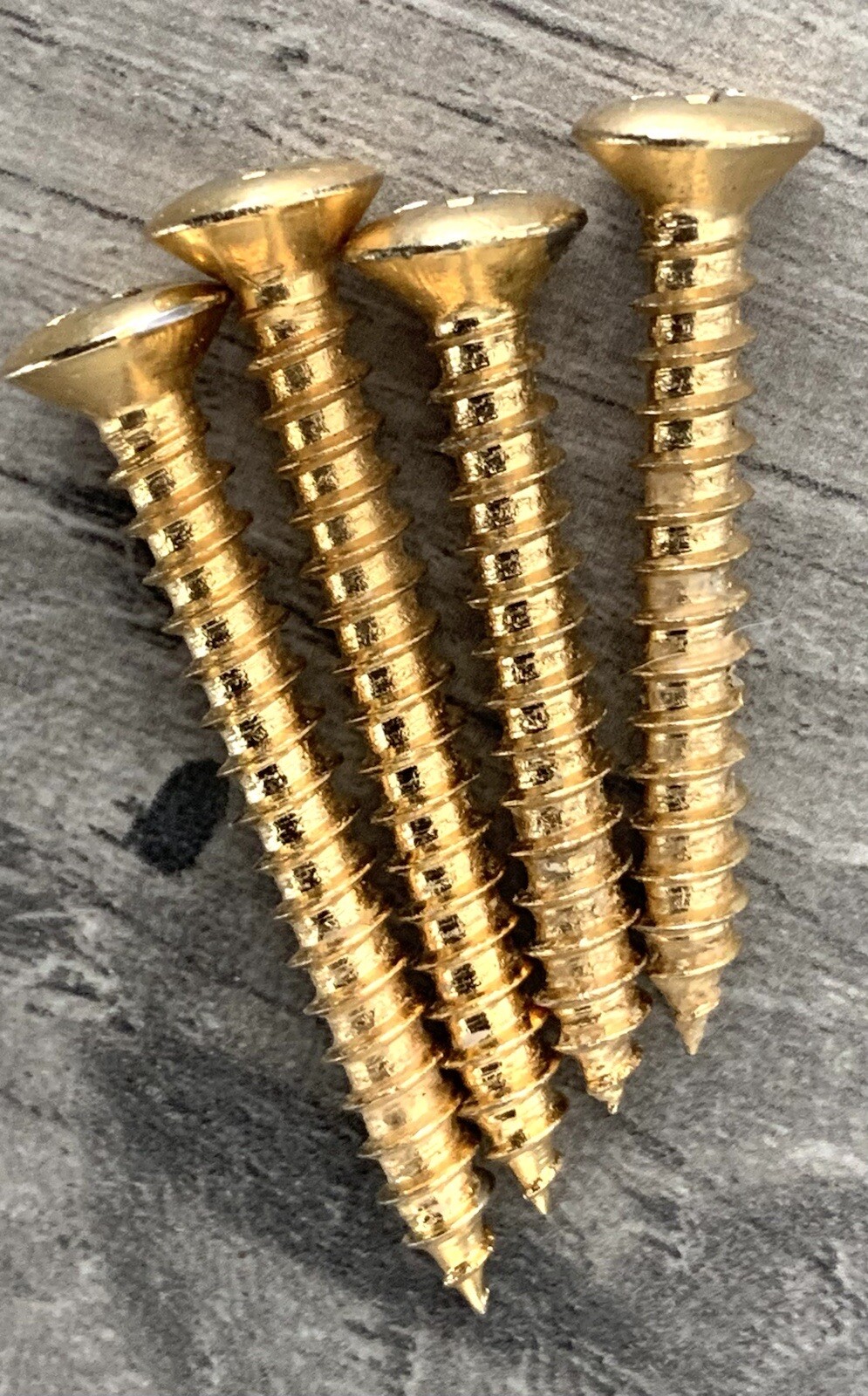 1991 Epiphone EBM-5 by Gibson Five String Bass Guitar Neck Mounting Screws