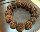 9 Mukhi / Face 18mm up Rudraksha Bracelet Java Indonesia Jenitri Beads Very Rare