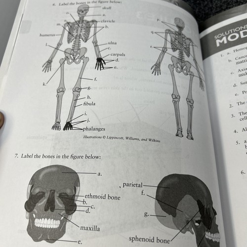 Advanced Biology THB 2nd Edition 4th Print Test and Solutions Manual VERY GOOD - Picture 6 of 10