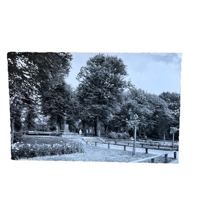 Postkarte AK Tönning Eider Esmarchdenkmal Schlossgarten Ungelaufen Ansichtskarte