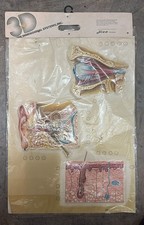 IL CORPO UMANO 3D TAVOLA ANATOMICA PLASTICO NOVA RICO FLORENCE VINTAGE ANNI 60