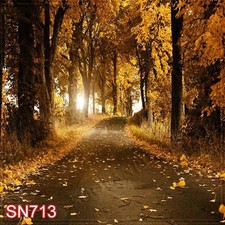 Autumn 10'x10' Computer-painted Scenic Photo Background Backdrop SN713B881