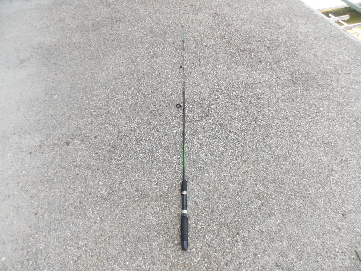 bass assassin lures owner Saltwater Assassin Shad Texas Roach 5in 8 ct