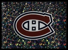 2022-23 Topps NHL Sticker Collection #256 Team Logo FOIL