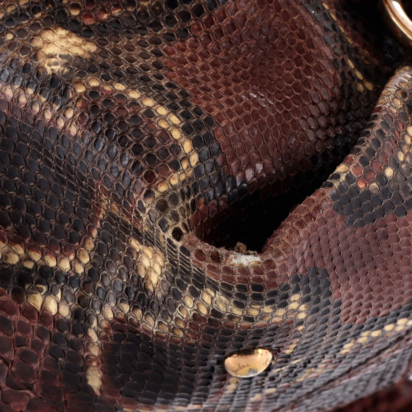 Salvatore Ferragamo Sofia Satchel Python Medium - image 7