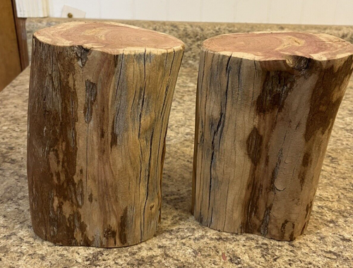 Live Edge östliche rote Zeder Schüssel Drechseln Rohlinge oder andere Handwerksprojekte 6" x 8"