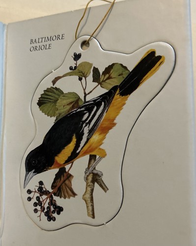 Birds A Book of Ornaments: Illustrations by Douglas Sardo - Picture 5 of 7