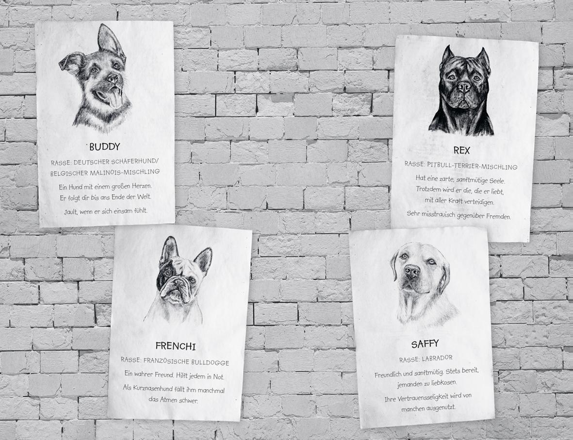 Thumbnail - Buddy - Mein Leben Als Straßenhund Gill Lewis