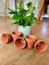 Vintage plant pots terracotta