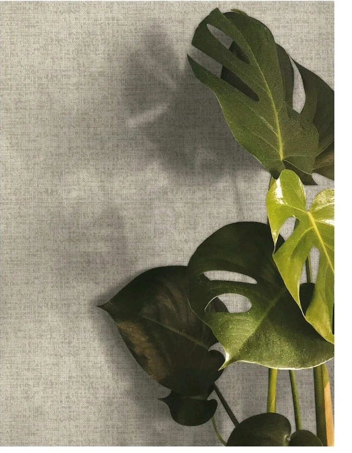 Emilia Parati Italian Wallpapers 78048SE Non Woven Backing 11 Yrd x 21 In Read* - Image 3 of 4