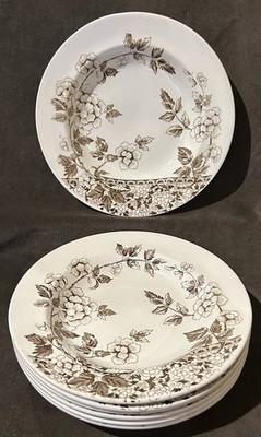 7 Antique JF Wileman Foley Transferware Staffordshire ALBERT Rimmed Soup Bowls