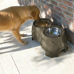 dog high feeder