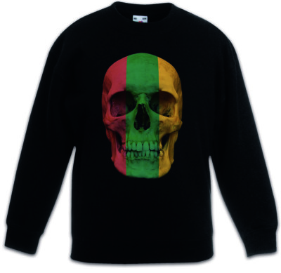 CLASSIC LITHUANIA SKULL FLAG Kids Boys Girls Pullover Banner  Litauen