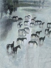 The Mountain Mens T-shirt Green Vintage 2004 