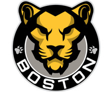 Boston Pride Defunct NWHL Hockey Logo Ladies Polo XS-6XL New