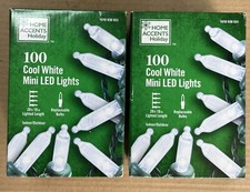 Home Accents Holiday 100 Cool White Mini LED Lights Indoor Outdoor 2PK 