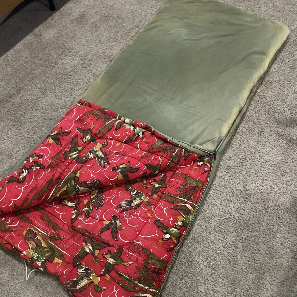 Discover 141+ coleman mummy sleeping bag latest esthdonghoadian