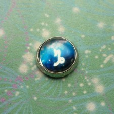 Cúpula de cristal del zodiaco - Capricornio - Dije para medallones de memoria