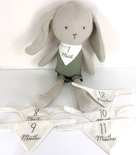 Hearth Hand Magnolia Newborn Baby Milestone Knit Plush Bunny 7pc Set