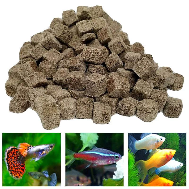 Dried Red Blood Worm Cube Fish Feed Aquarium Turtle Food Tropical Fish  Ceylon