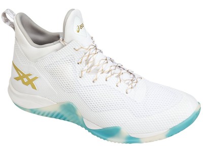 asics blaze nova basketball shoes