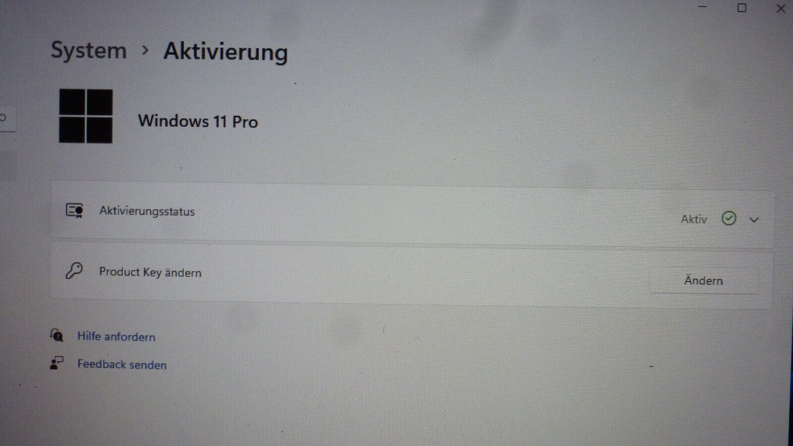 Bild 17 von 21