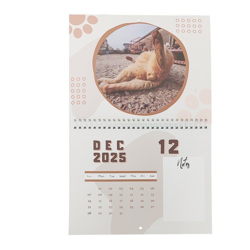 Cats Buttholes Calendar 2025 Funny Calendar Planner Wall Calendar Prank Gift - Picture 3 of 12