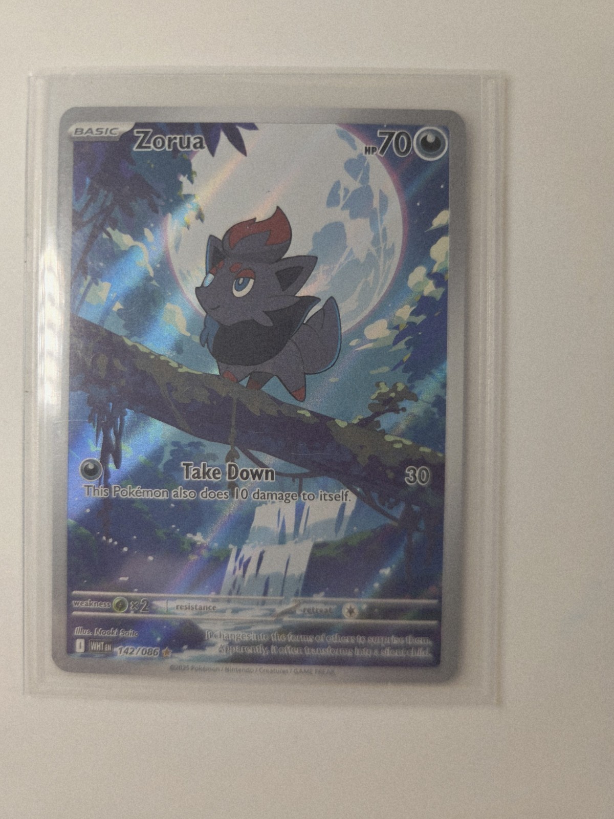 pokemon white flare zorua 142/086 Illustration Rare Nm Condition