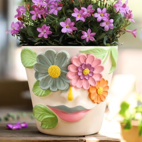 Unique Face Flower Plant Pots, Colorful Cute Succulent Planters with Blue&pink