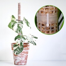 Moss Poles for Climbing Plants Support Stackable Plastic Plant Pole Plant Sticks