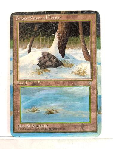 Snow-Covered Forest Ice Age MTG Magic Hand Painted Altered Art WORN Back